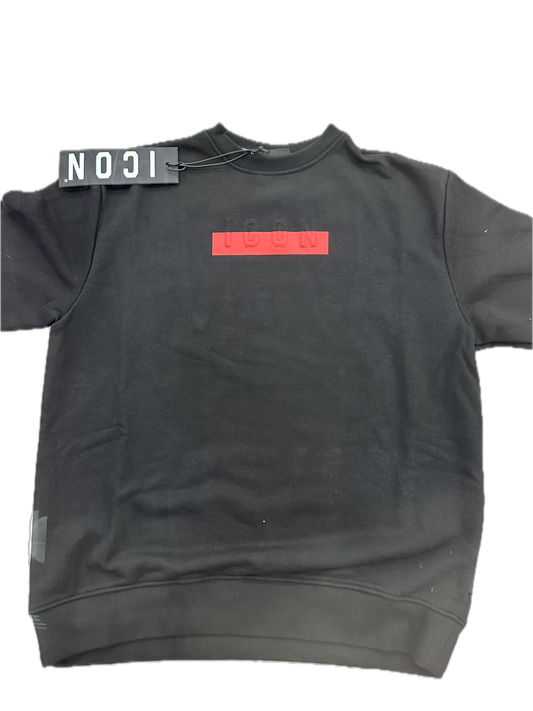 Felpa ICON ICUF2W6F034