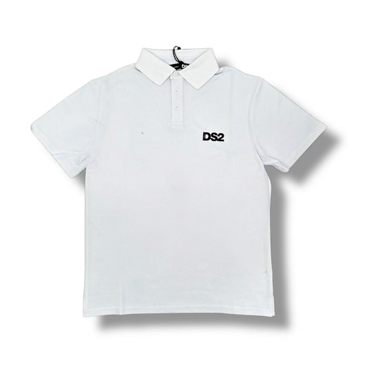Polo DS2